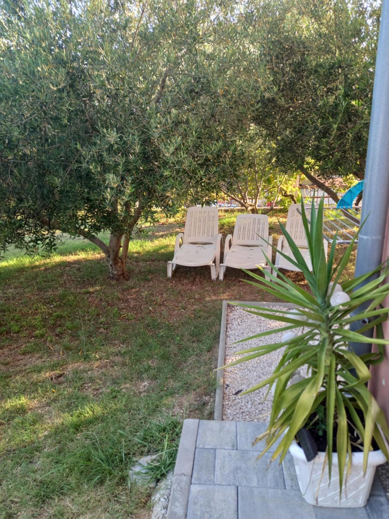Dani Appartement Zadar Kamer foto