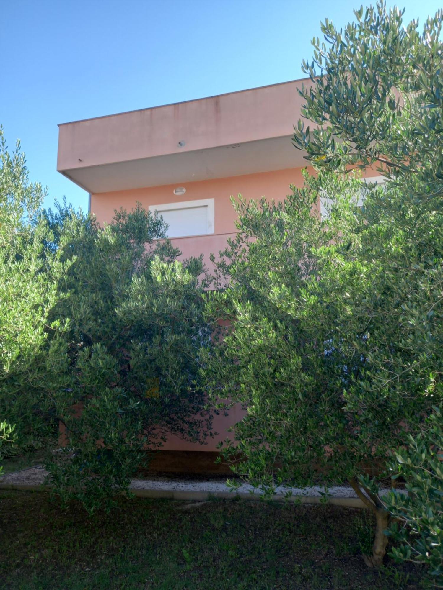 Dani Appartement Zadar Buitenkant foto